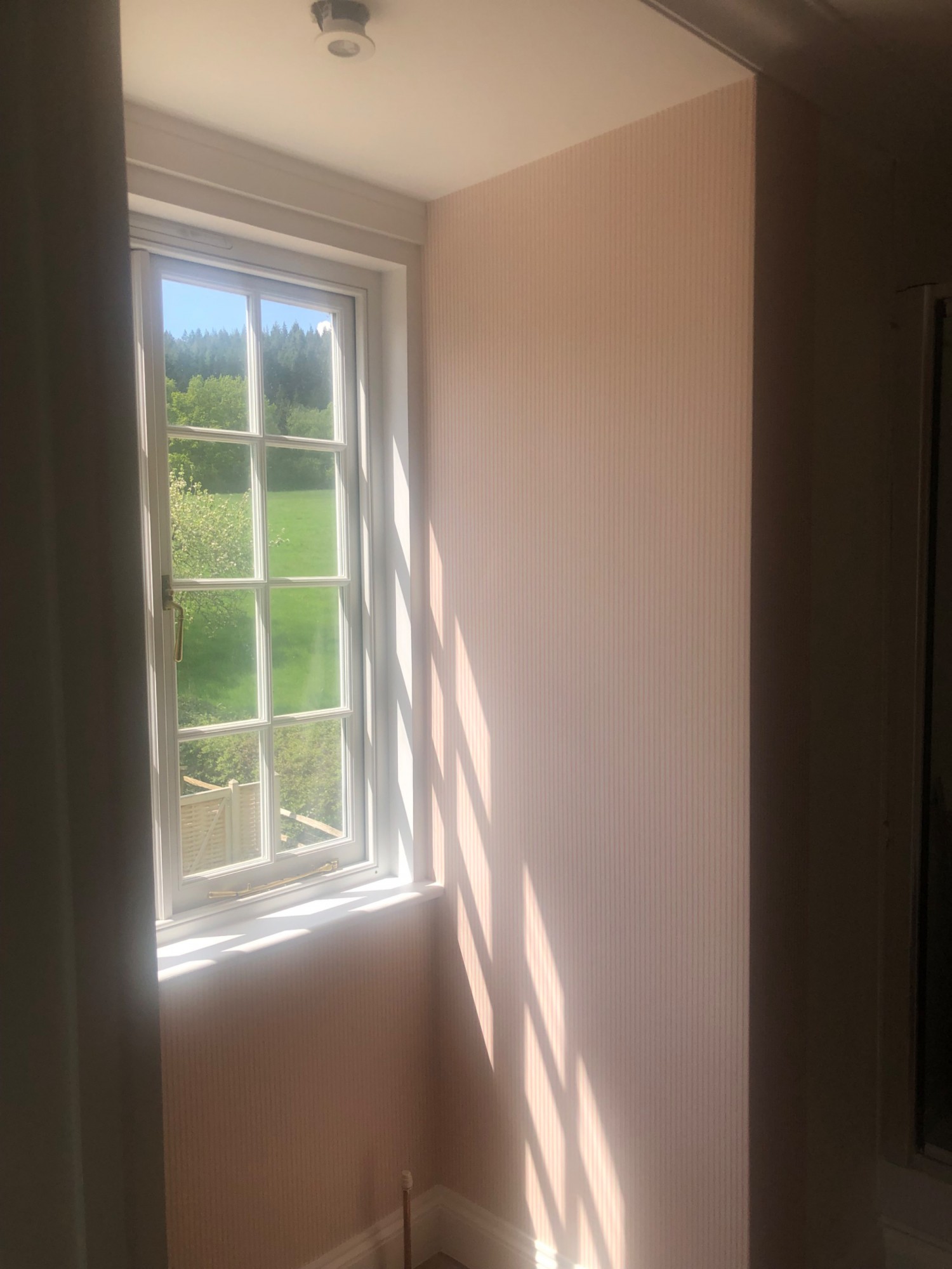 Recent decorating project